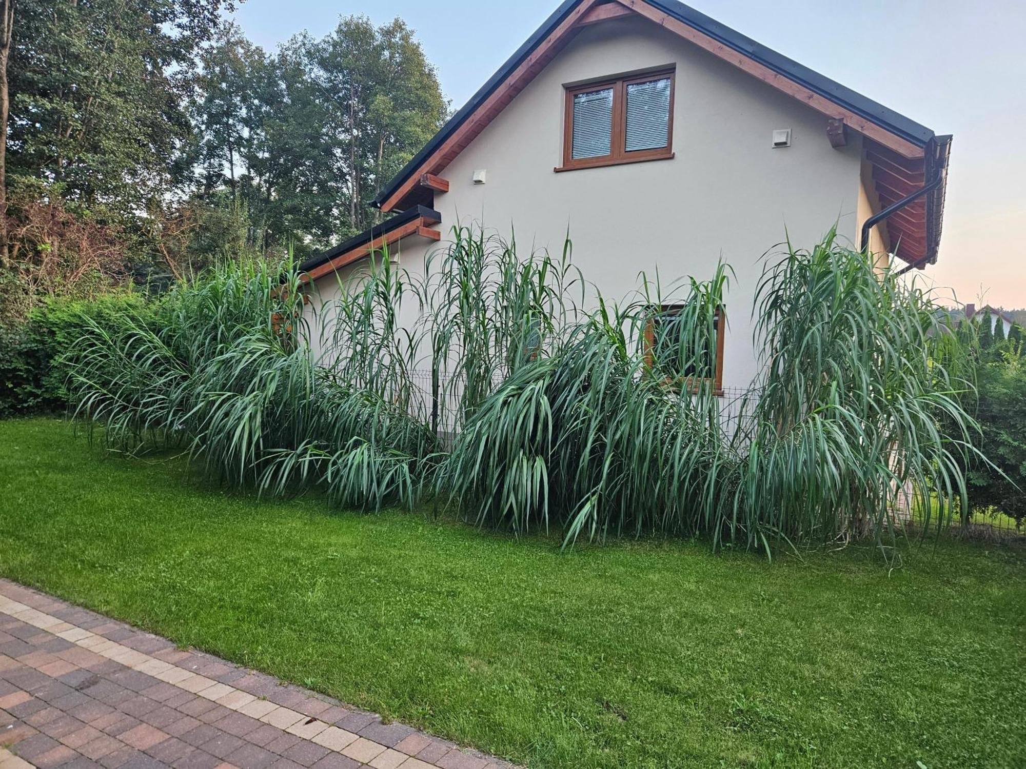 Villa Osada Cztery Pory Roku -Dom Lato Kopalino Exterior foto